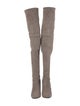 Stuart Weitzman Suede Boots