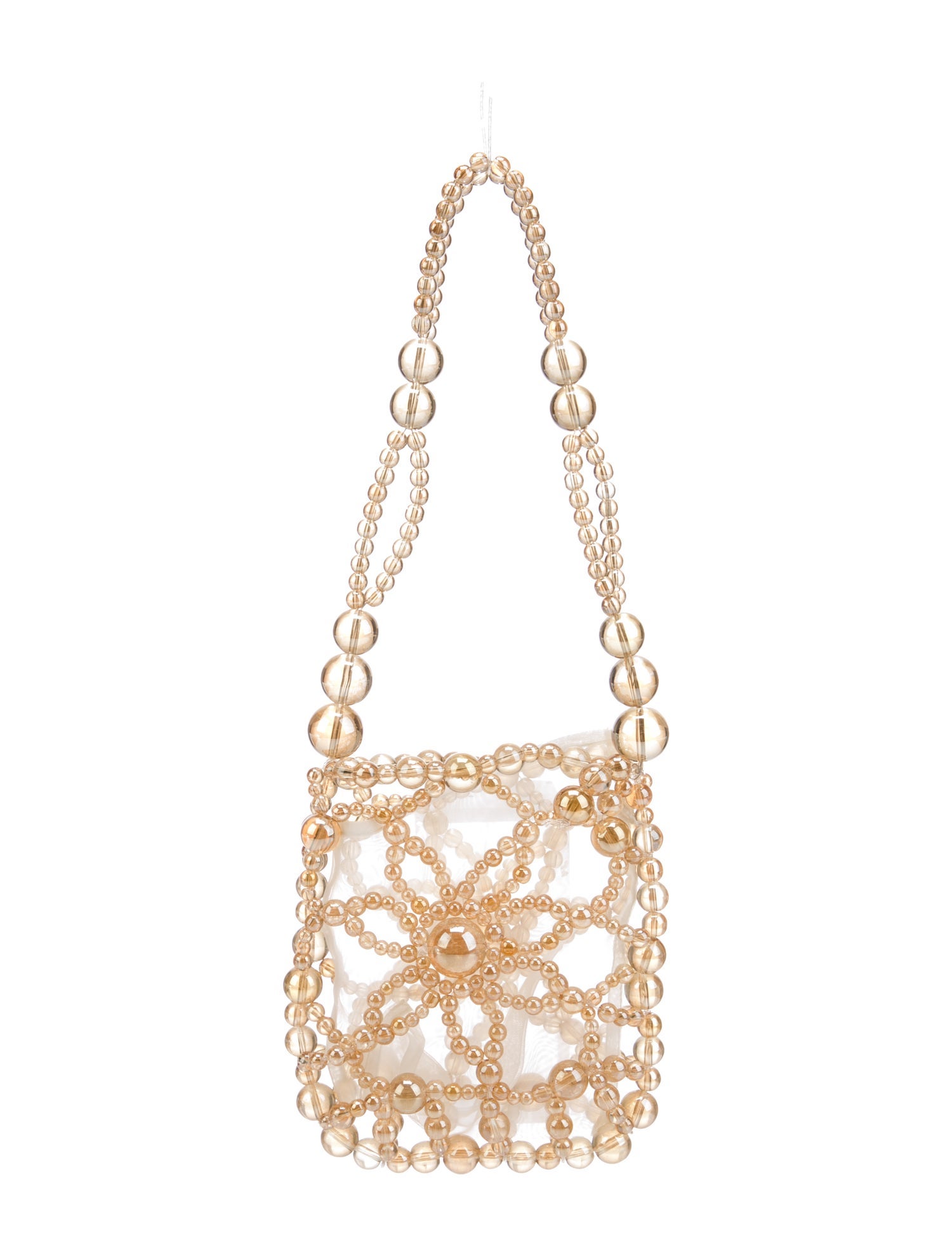 Susan Fang Acrylic Evening Bag