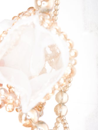 Susan Fang Acrylic Evening Bag