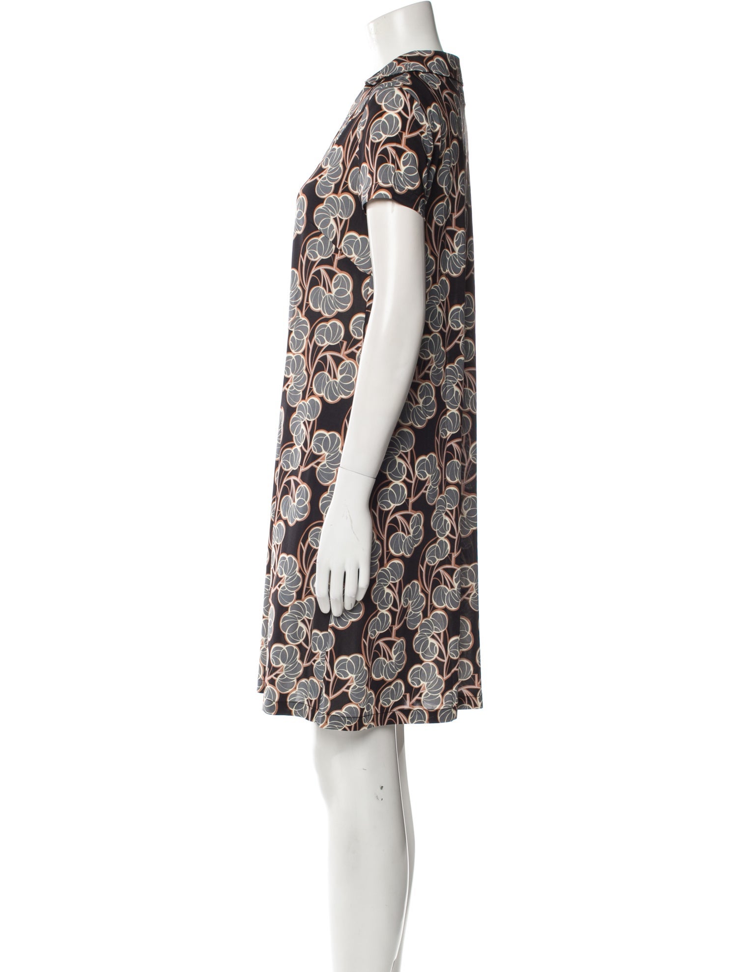 Siyu Printed Mini Dress