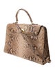 T. Anthony Python Top Handle Bag