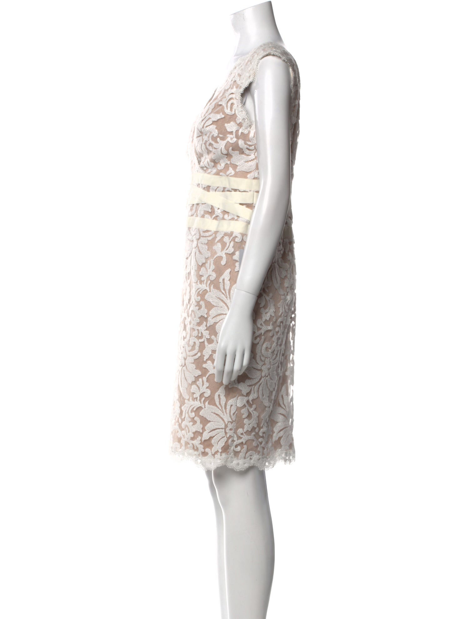 Tadashi Shoji Lace Pattern Mini Dress