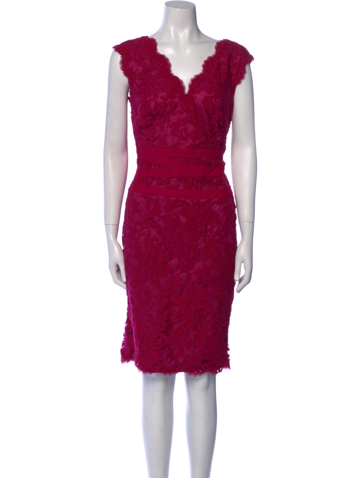 Tadashi Shoji Lace Pattern Knee-Length Dress