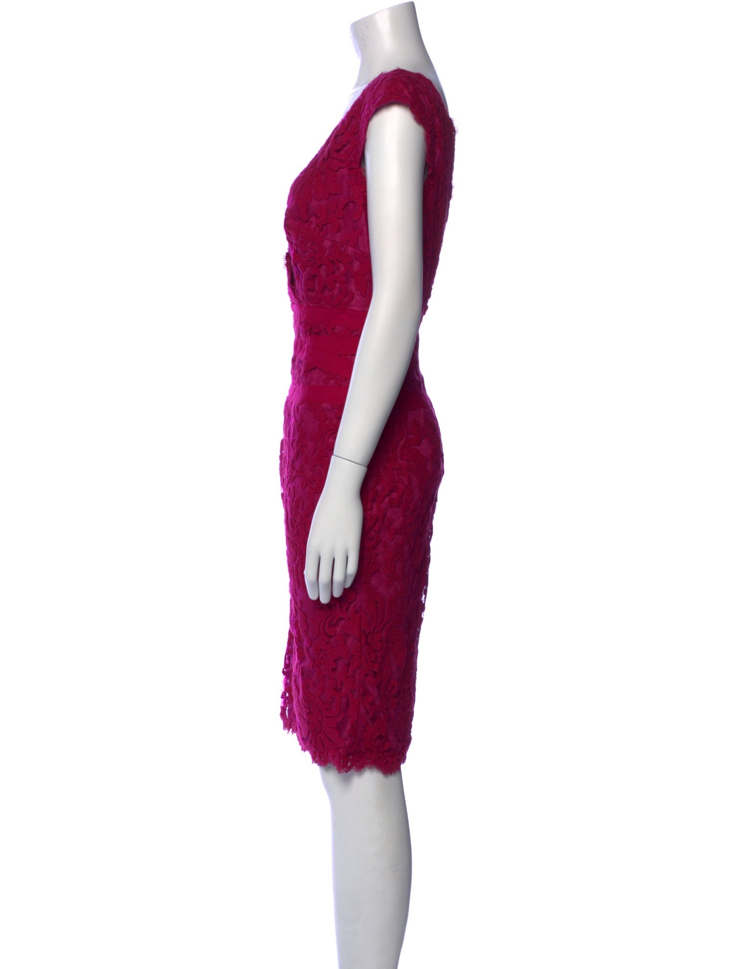 Tadashi Shoji Lace Pattern Knee-Length Dress