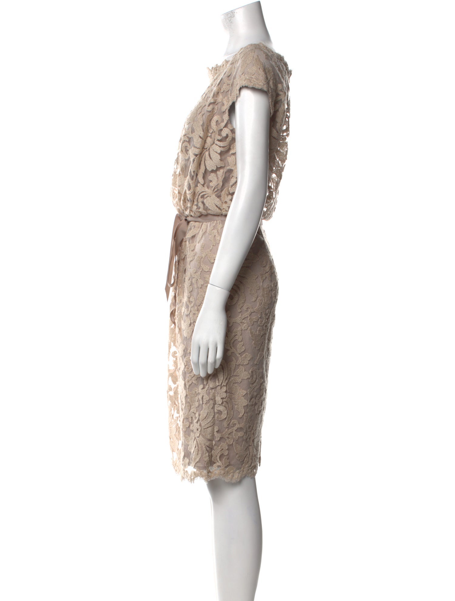 Tadashi Shoji Lace Pattern Knee-Length Dress