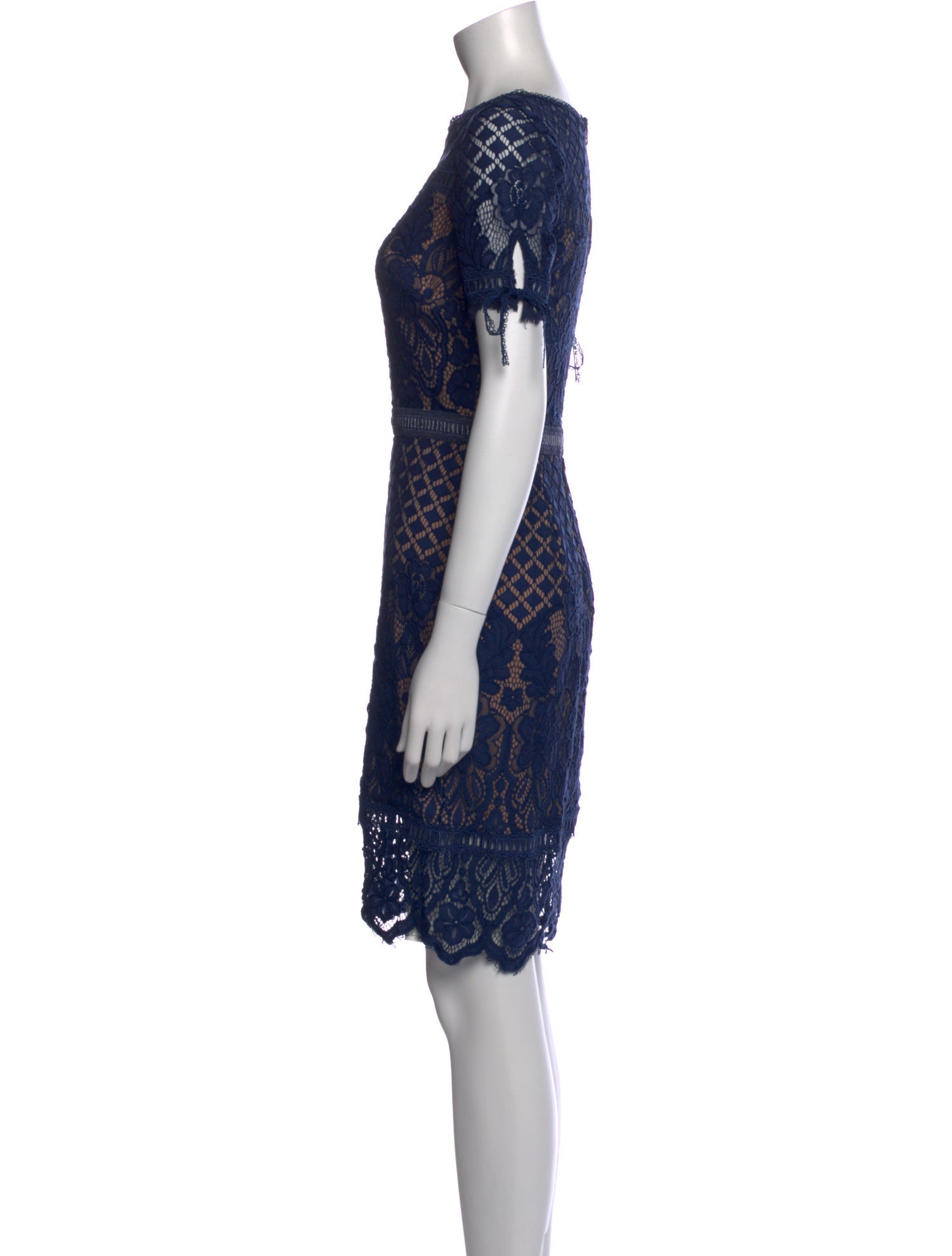Tadashi Shoji Lace Pattern Mini Dress