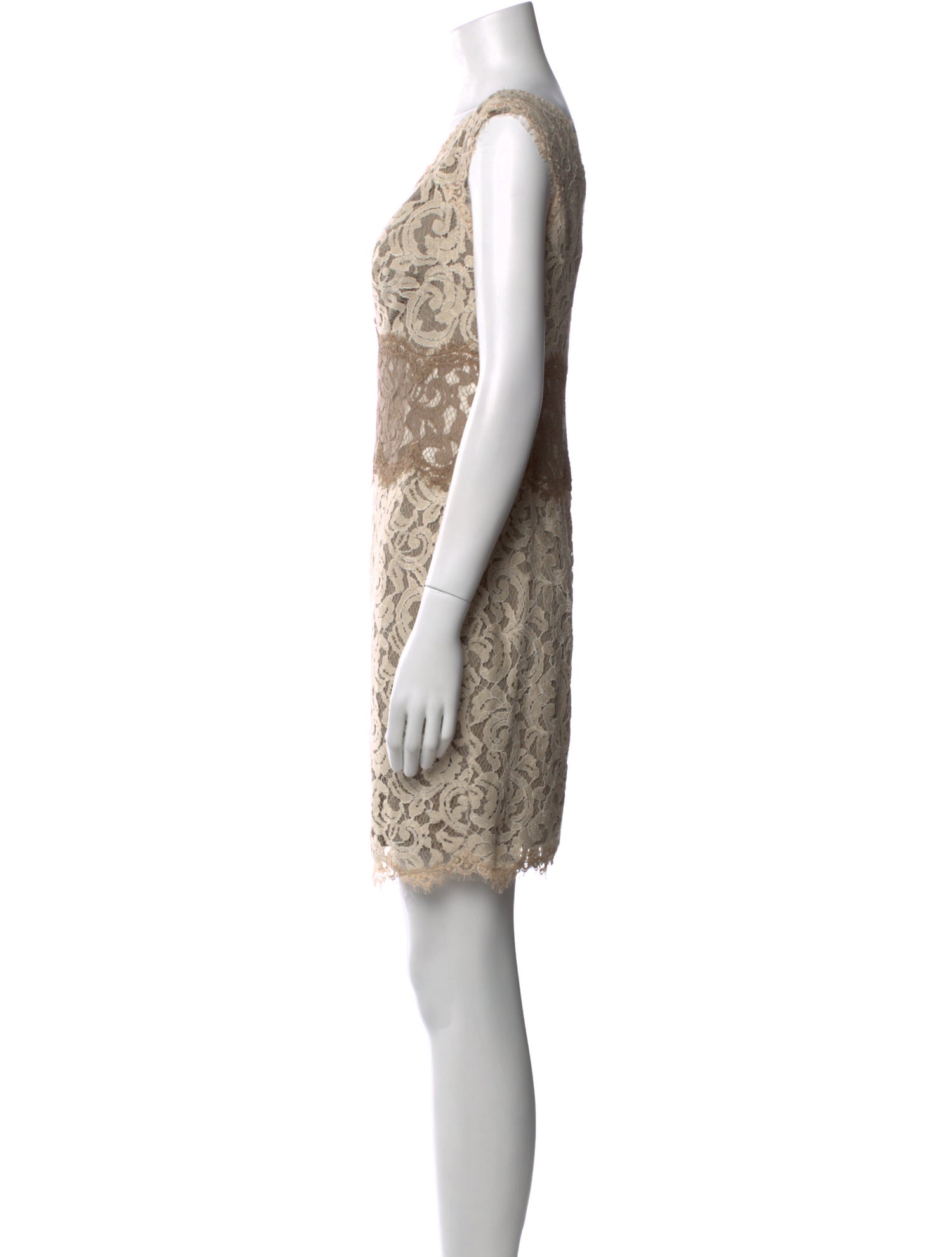 Tadashi Shoji Lace Pattern Mini Dress