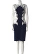 Tadashi Shoji Bateau Neckline Knee-Length Dress