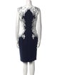 Tadashi Shoji Bateau Neckline Knee-Length Dress