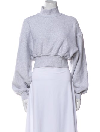 T by Alexander Wang Turtleneck Long Sleeve Crop Top