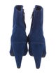 Theory Suede Boots