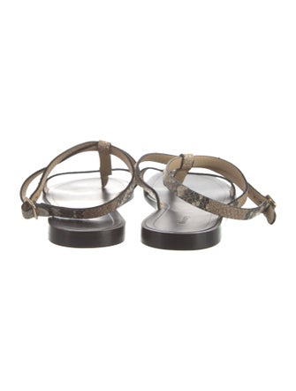 Theory Snakeskin Animal Print T-Strap Sandals