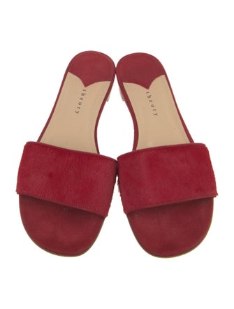 Theory Ponyhair Slides