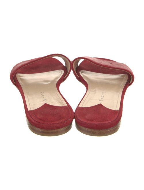 Theory Ponyhair Slides