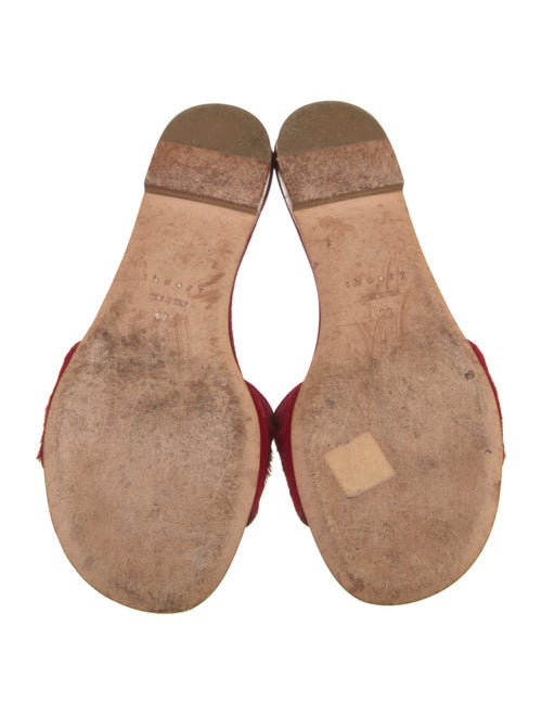 Theory Ponyhair Slides