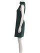 Theory Turtleneck Mini Dress