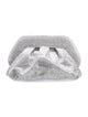 Themoirè Evening Bag