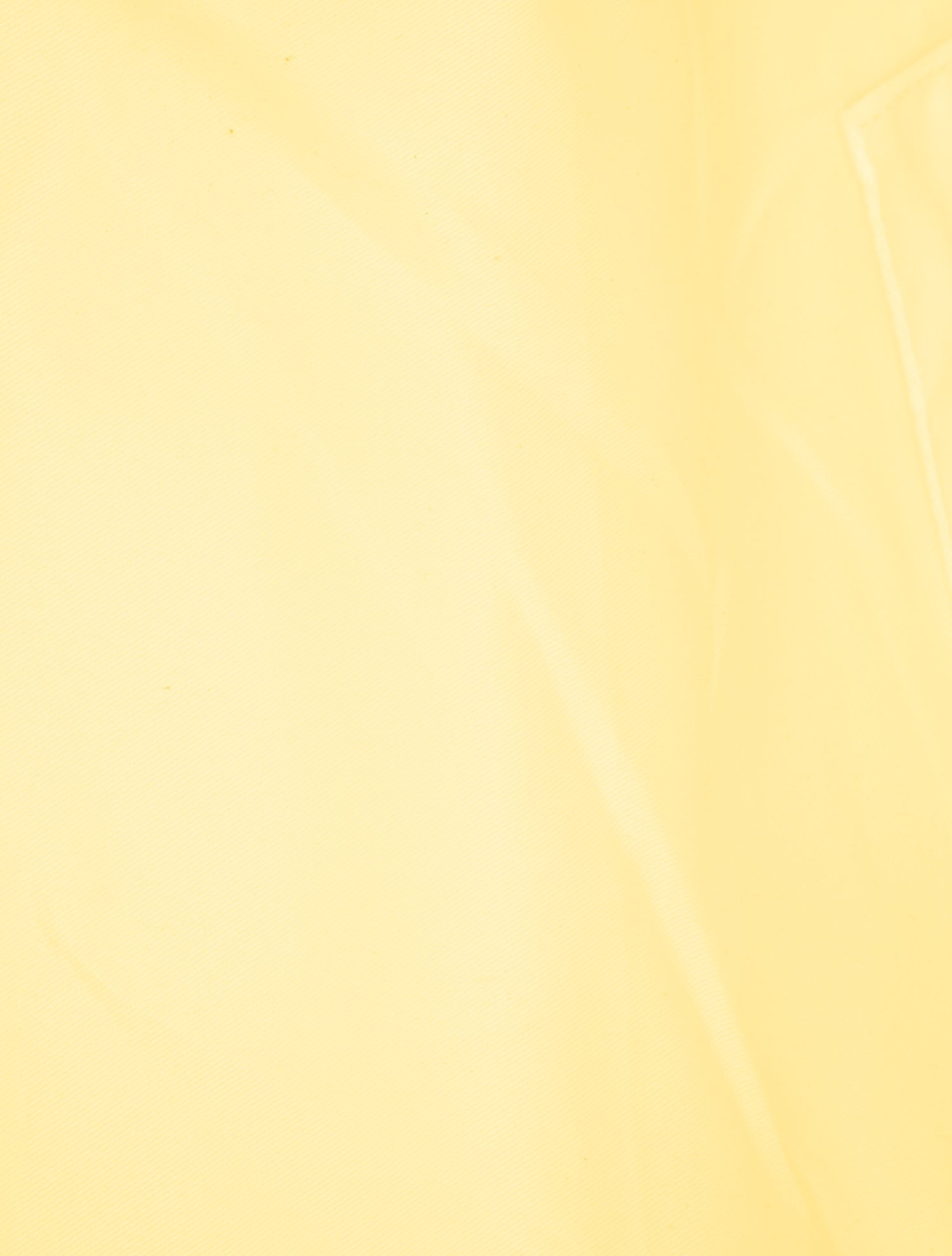 Telfar Vegan Leather Tote