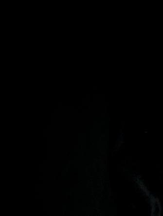 Telfar Vegan Leather Weekender Bag Large