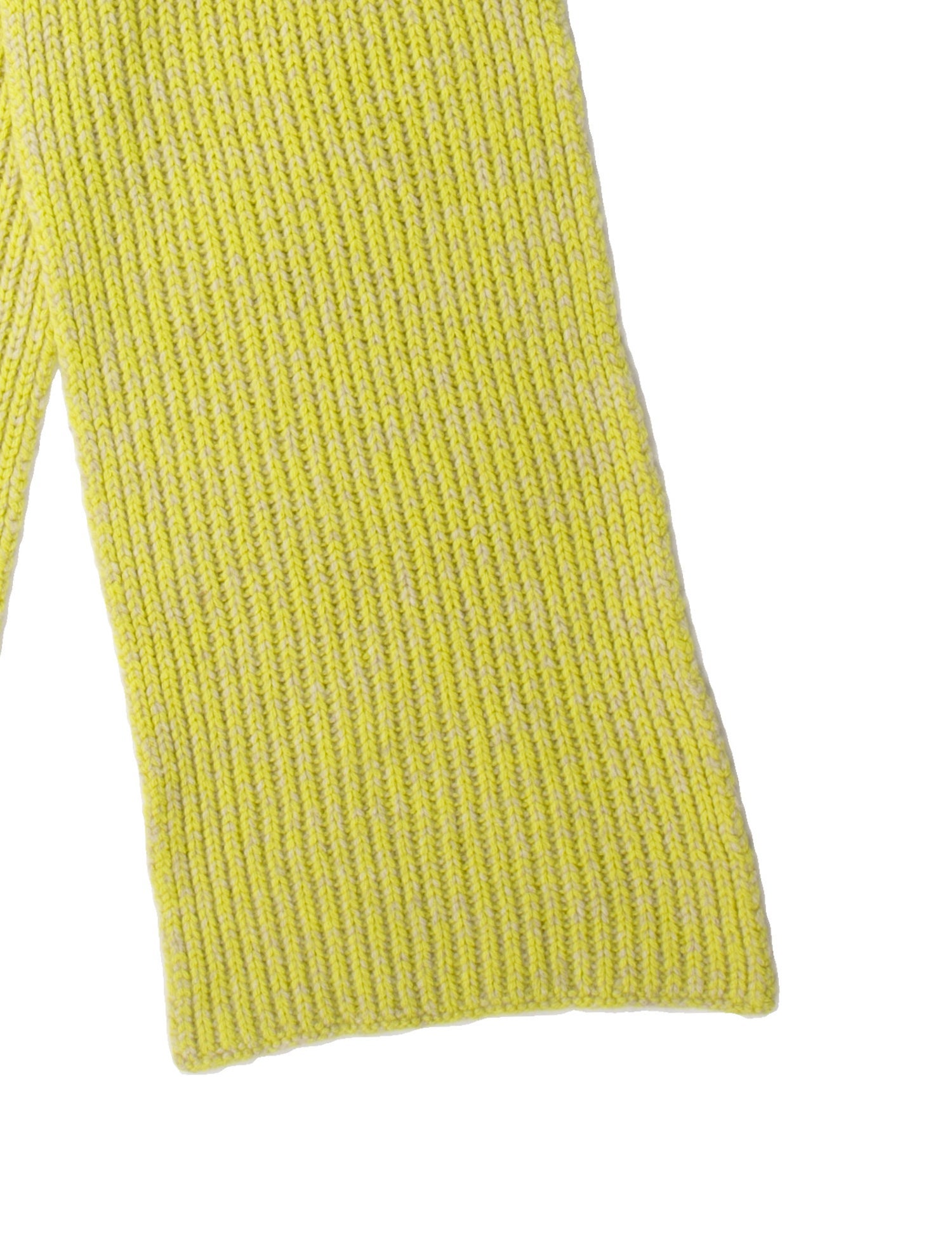 The Elder Statesman Cashmere Scarf