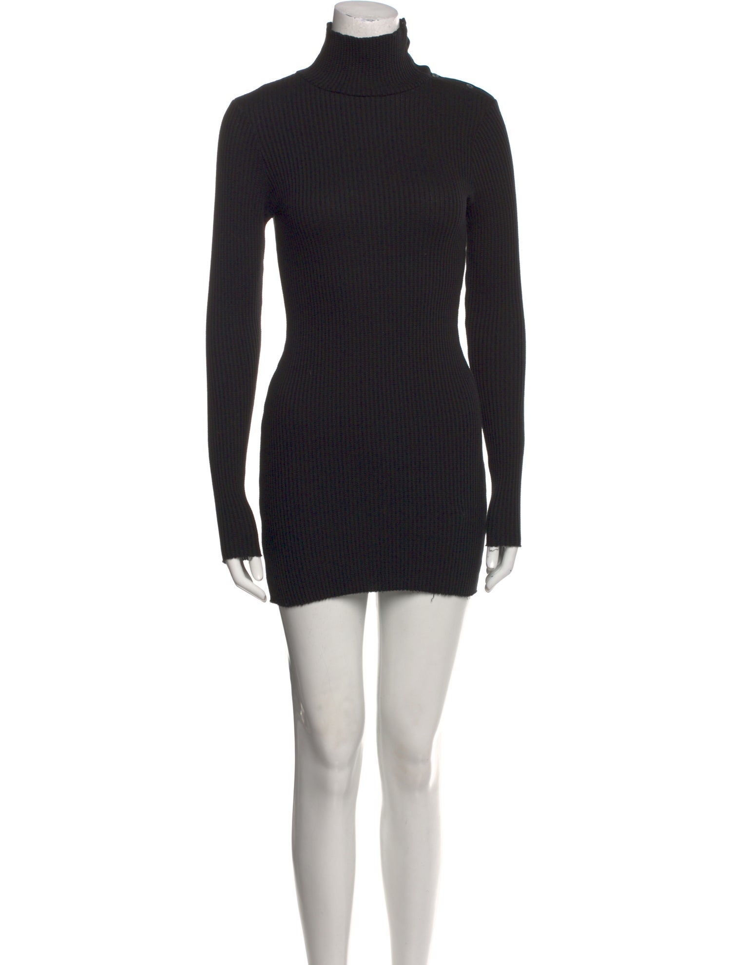 The Range Turtleneck Mini Dress