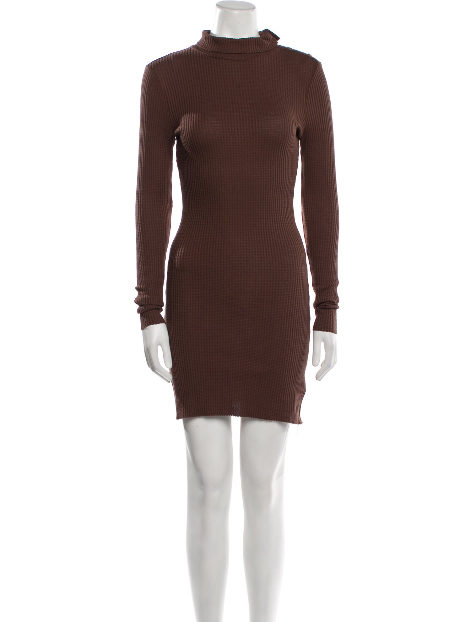 The Range Turtleneck Mini Dress