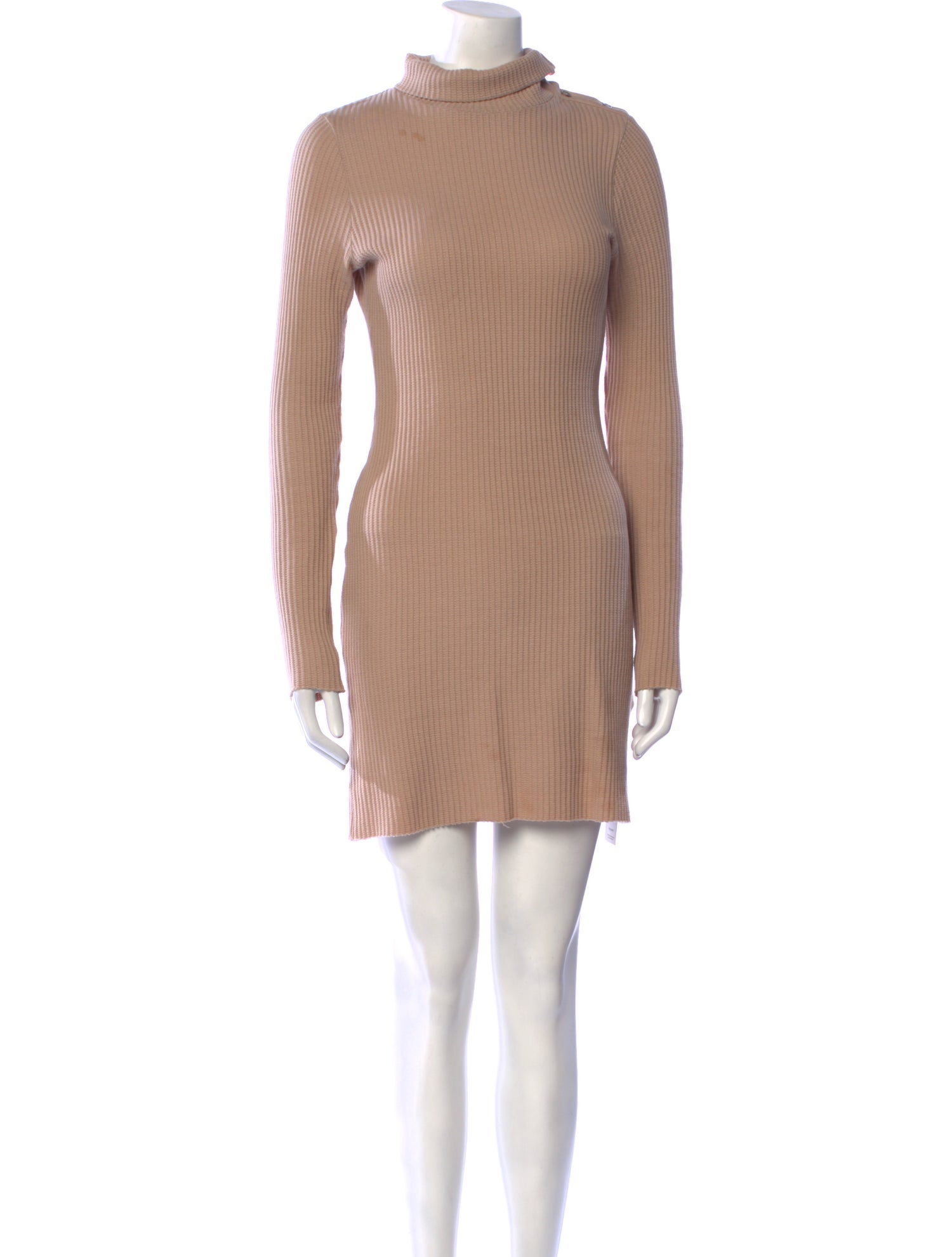 The Range Turtleneck Mini Dress