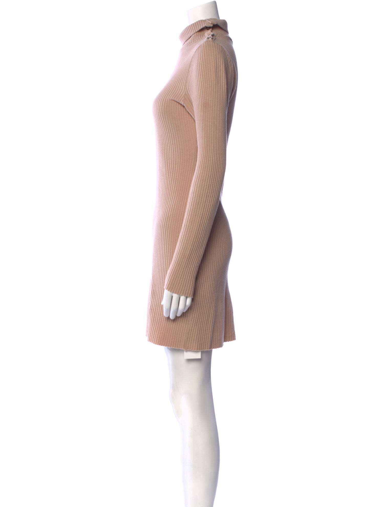 The Range Turtleneck Mini Dress