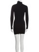 The Range Turtleneck Mini Dress