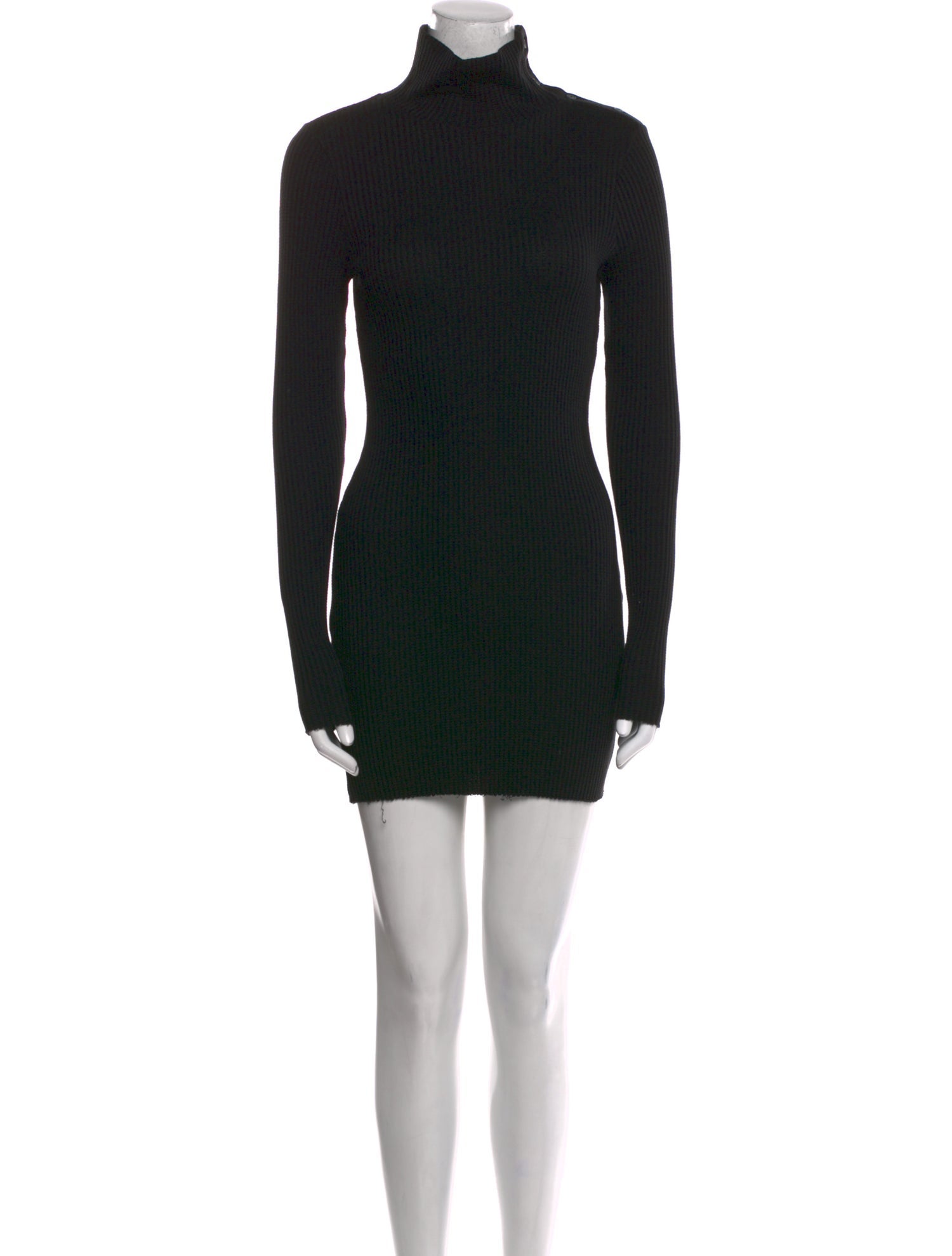 The Range Turtleneck Mini Dress