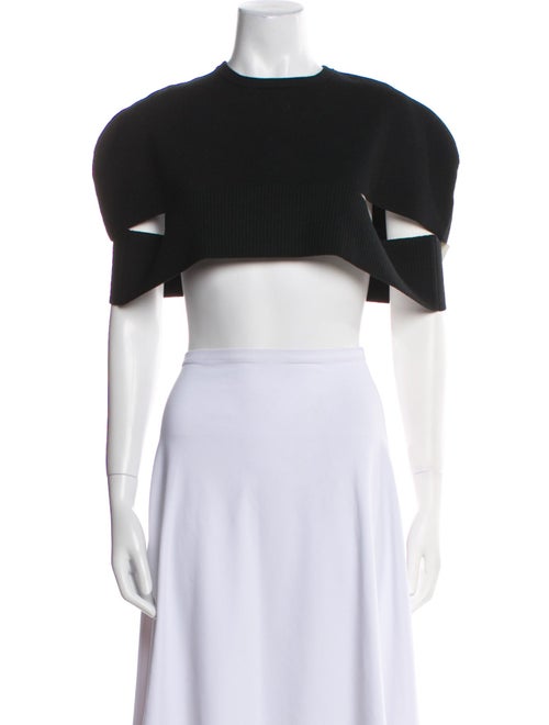 Tibi Wool Crew Neck Crop Top