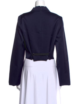 Tibi Mock Neck Long Sleeve Crop Top