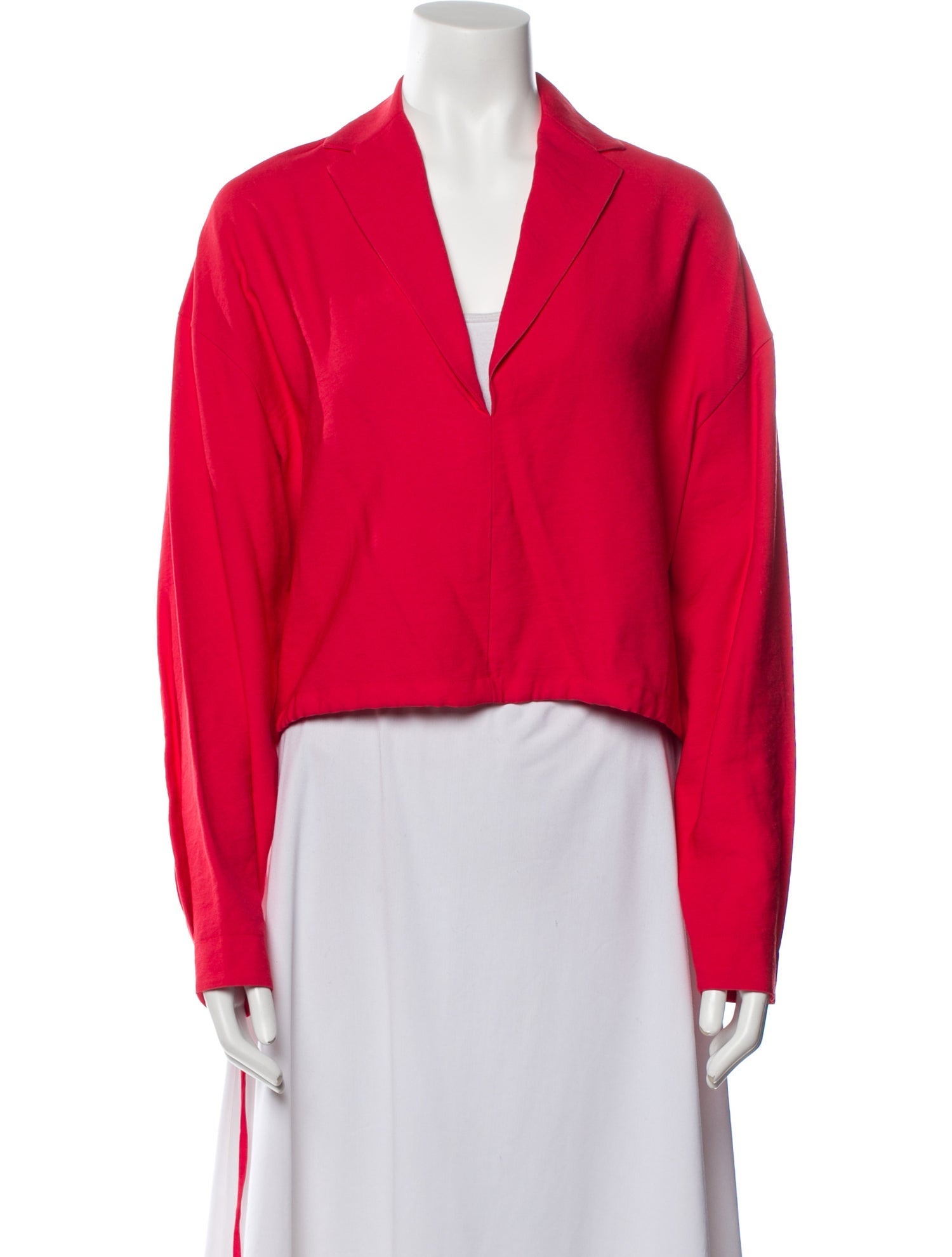 The Sei V-Neck Long Sleeve Crop Top w/ Tags