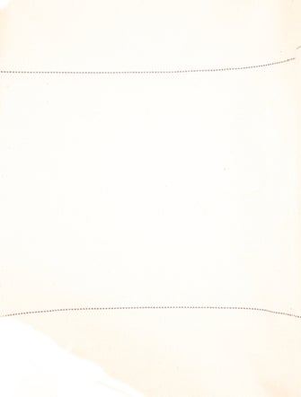 Tibi x LL Bean Canvas Tote