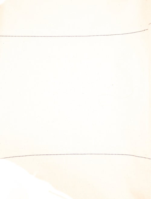 Tibi x LL Bean Canvas Tote