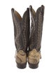 Tony Lama Vintage Snakeskin Western Boots