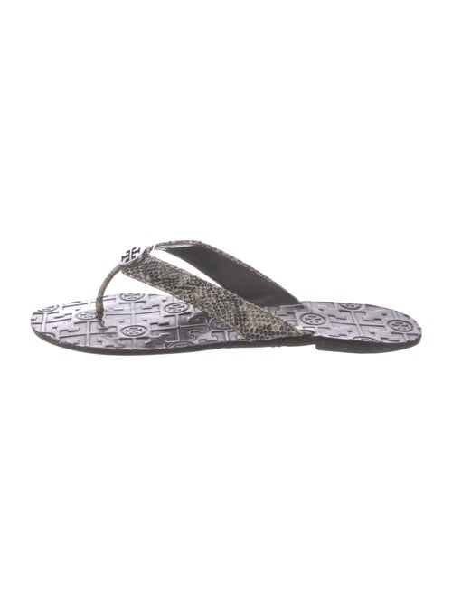 Tory Burch Snakeskin Animal Print Flip Flops