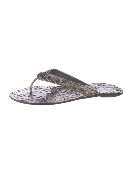 Tory Burch Snakeskin Animal Print Flip Flops
