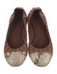 Tory Burch Leather Animal Print Ballet Flats