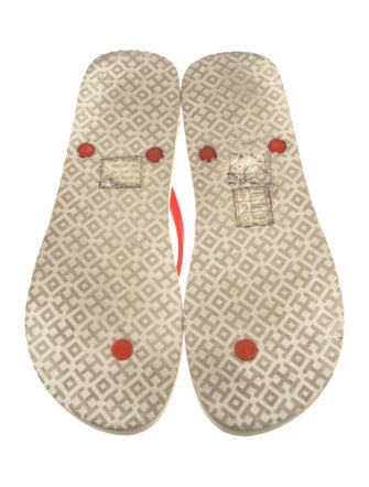 Tory Burch Rubber Printed Flip Flops