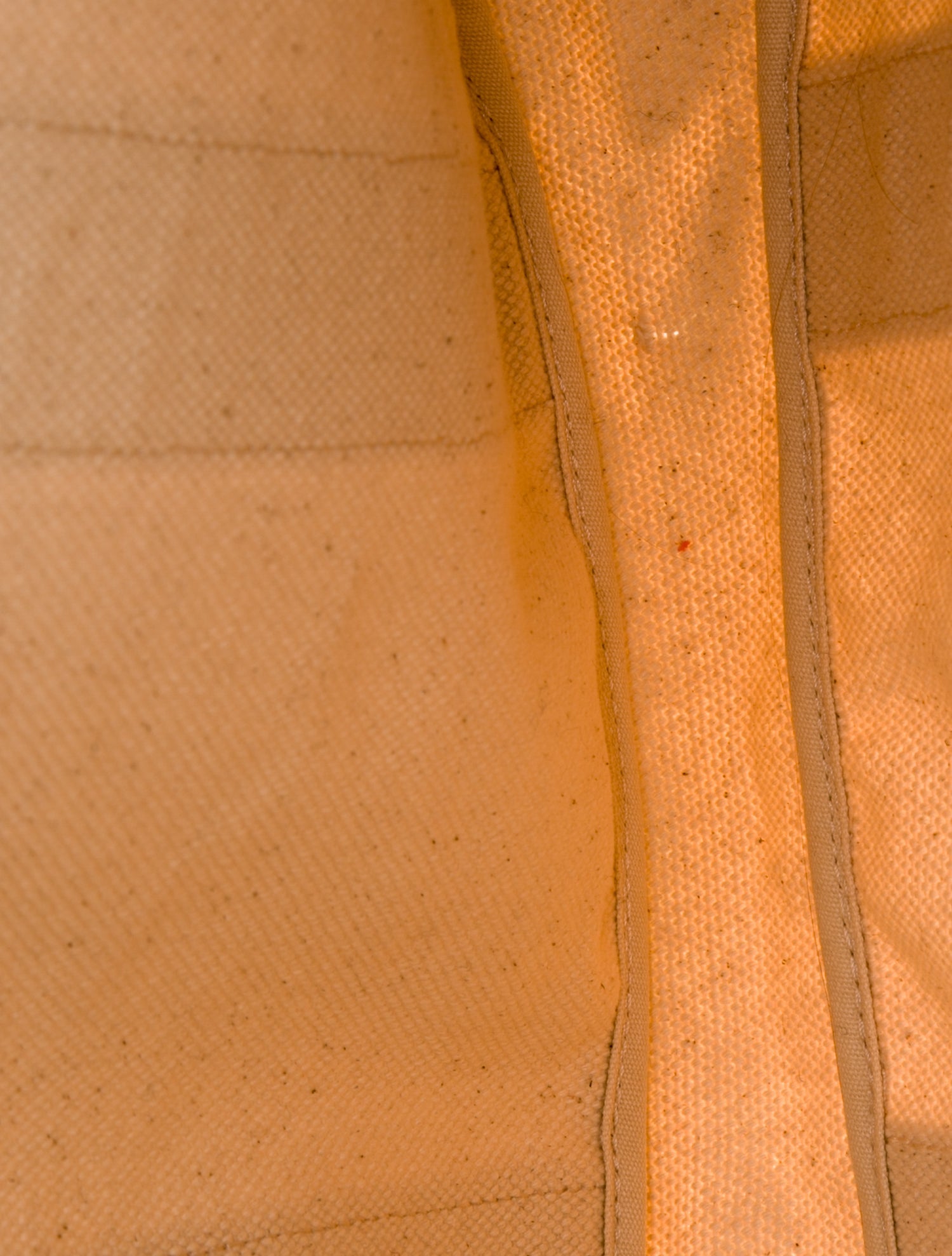 Tory Burch Canvas Tote