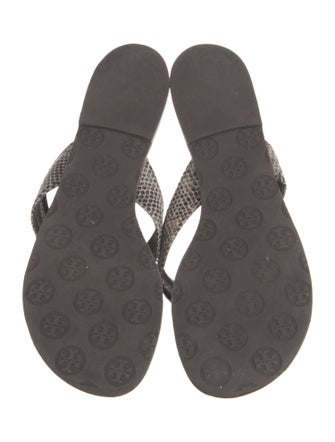 Tory Burch Leather Printed Flip Flops