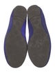 Tory Burch Suede Flats
