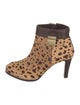 Tory Burch Ponyhair Animal Print Boots