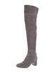 Tory Burch Suede Boots