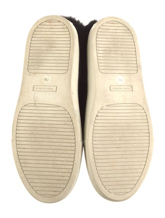 Tory Burch Suede Sneakers