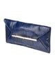 Tory Burch Python Clutch
