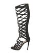 Tamara Mellon Suede Gladiator Sandals