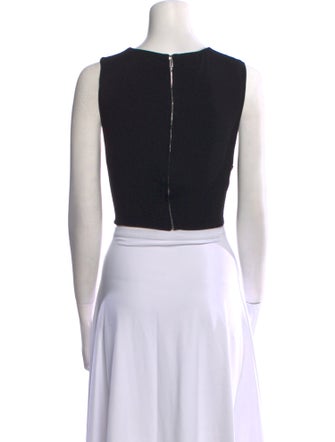 Third Form V-Neck Sleeveless Crop Top