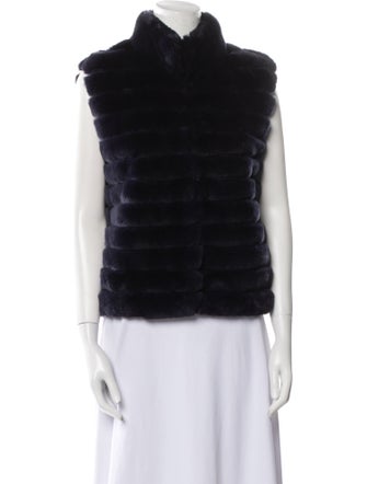 Trilogy Collection Michael Mccollom Striped Fur Jacket